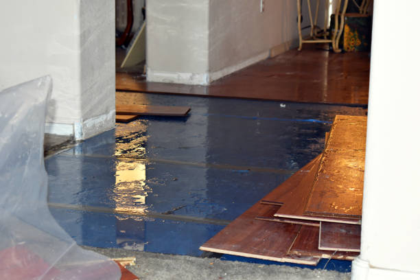 Professional Basement Flood Cleanup technician working in Hayden, ID